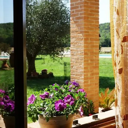 Farm stay Sant Anna Quarter Horse Cura Nuova