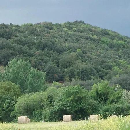 Farm stay Sant Anna Quarter Horse