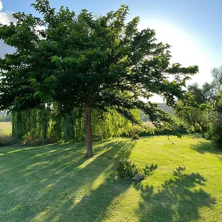 Farm stay Sant Anna Quarter Horse