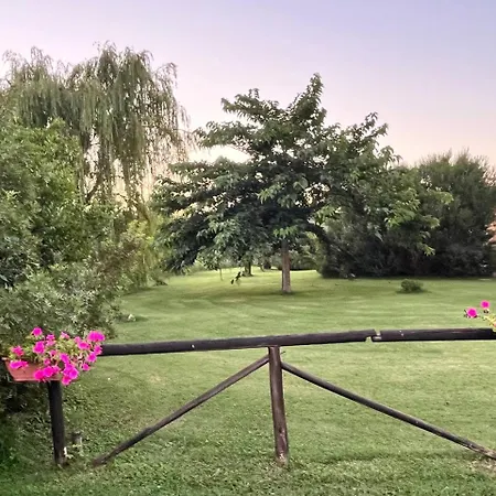 Farm stay Sant Anna Quarter Horse