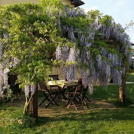 Farm stay Sant Anna Quarter Horse