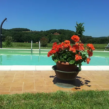 Sant Anna Quarter Horse Alloggio per agriturismo Cura Nuova